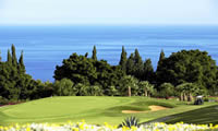 tecina golf course